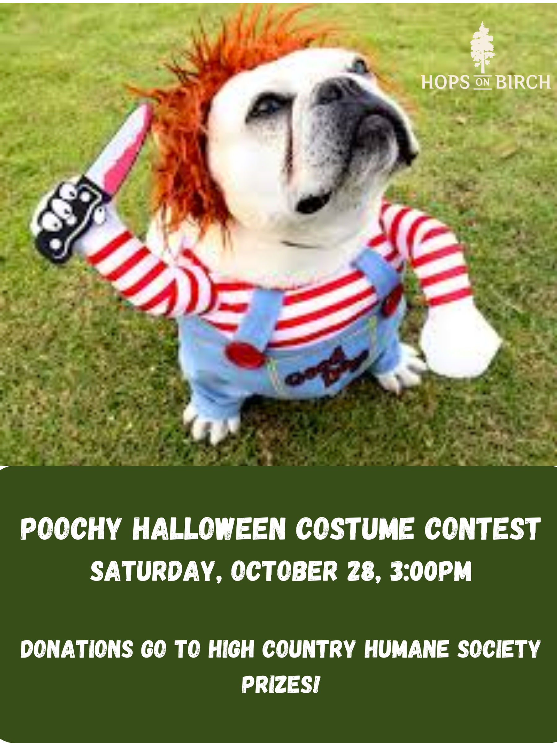 Hops on Birch Poochy Halloween Costume Contest Downtown Flagstaff