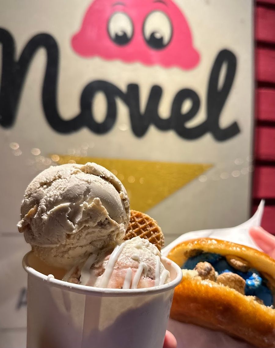 Novel Ice Cream