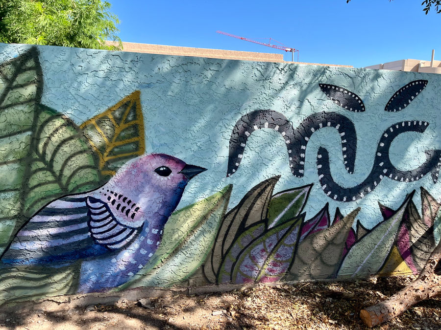 Mesa Urban Garden Mural #5