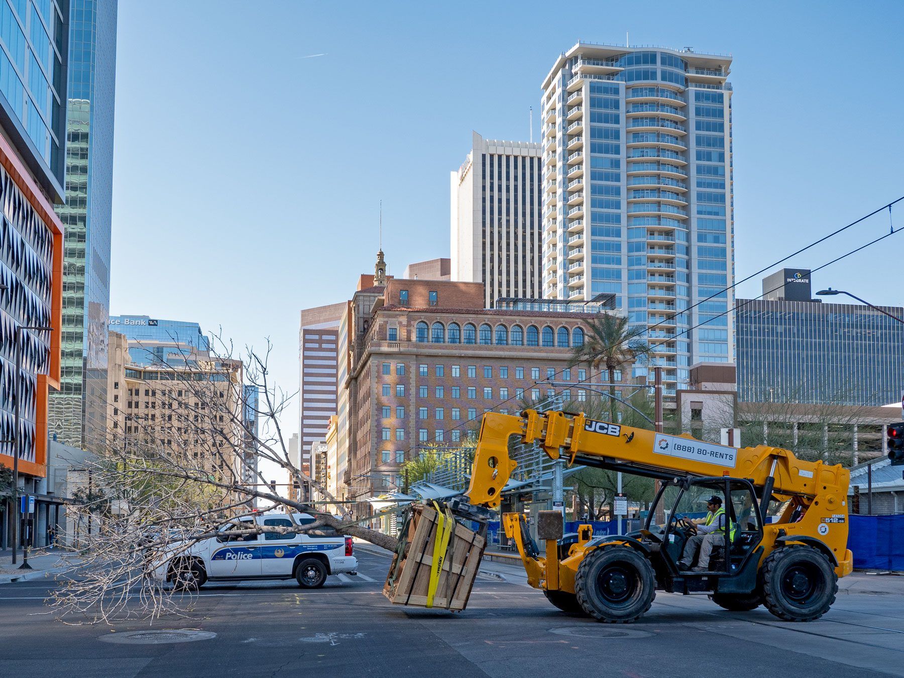 Tree Moving