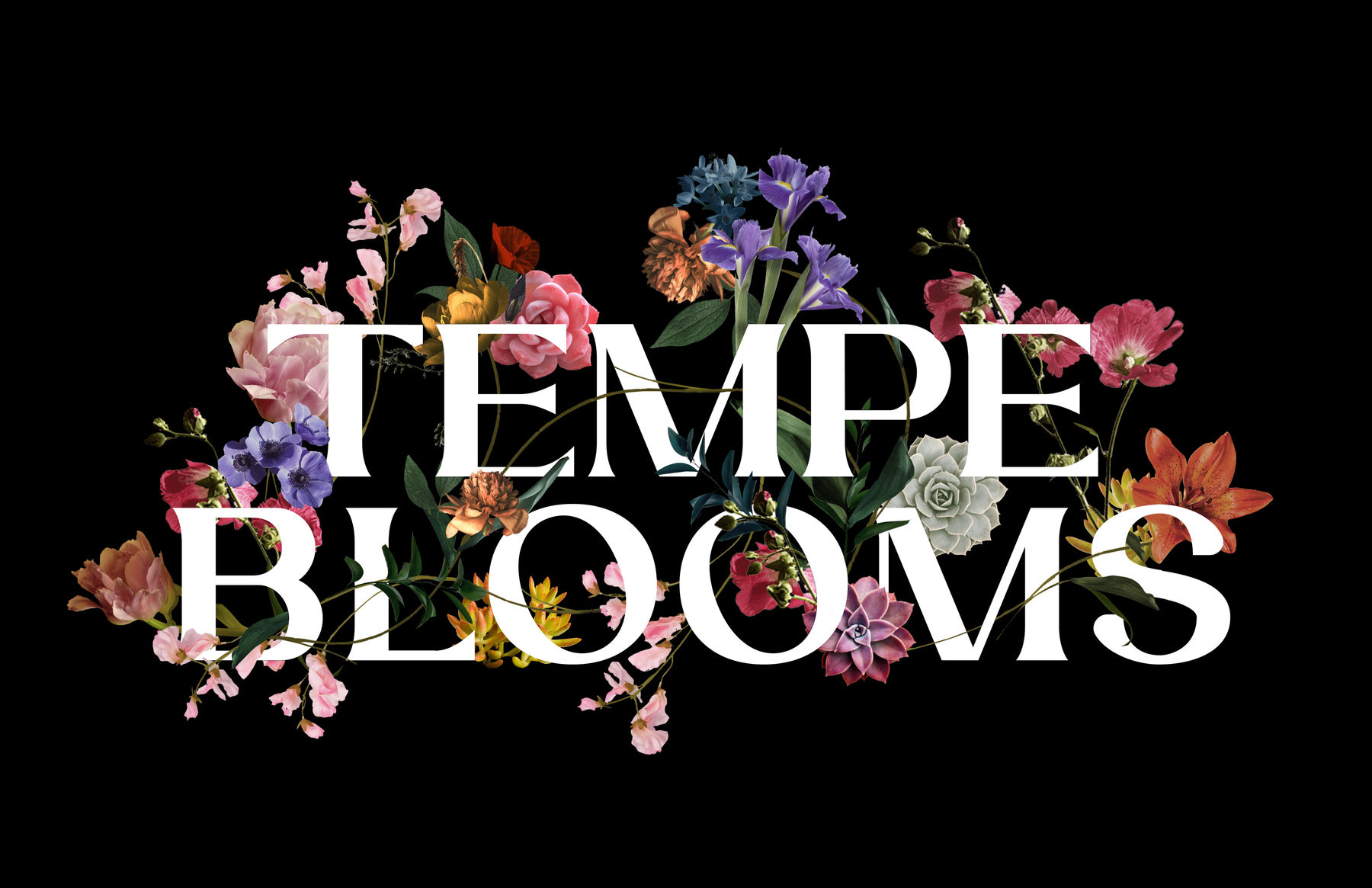 Tempe Blooms