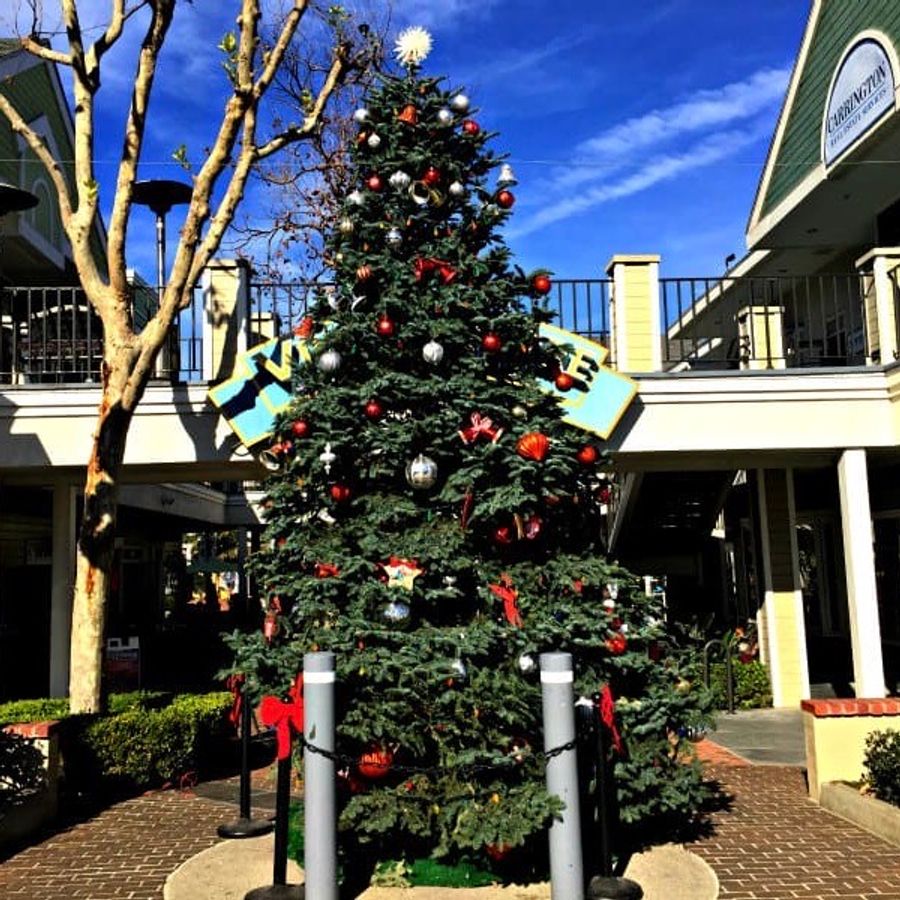 38th Annual Rotary Tree Lighting Carlsbad Village, CA