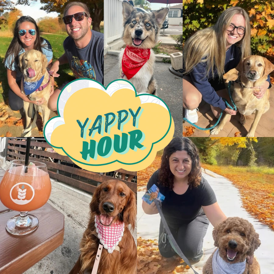 Yappy Hour Howls into Carlsbad Village This Thursday