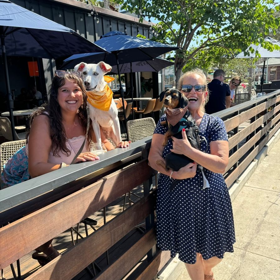 Yappy Hour Brought Paws, Pints, and Pure Joy to Downtown Carlsbad