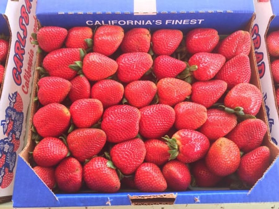 Carlsbad Strawberry Company Returns to Farmers' Market