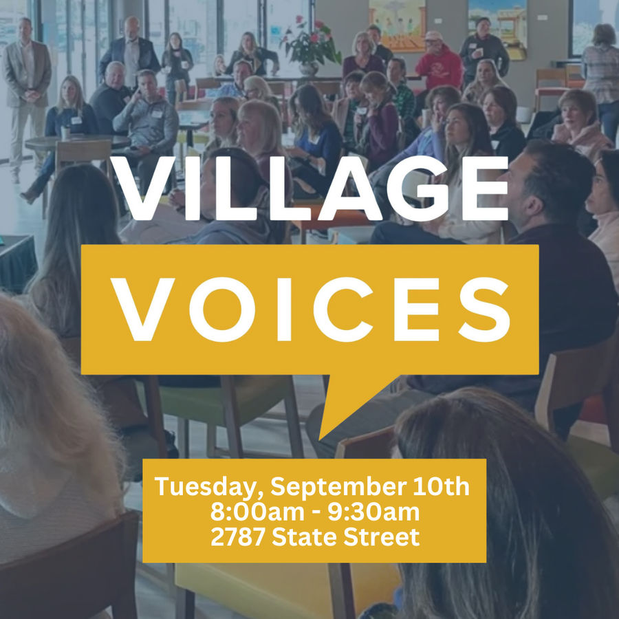 Village Voices: Speed ​​networking and community connection