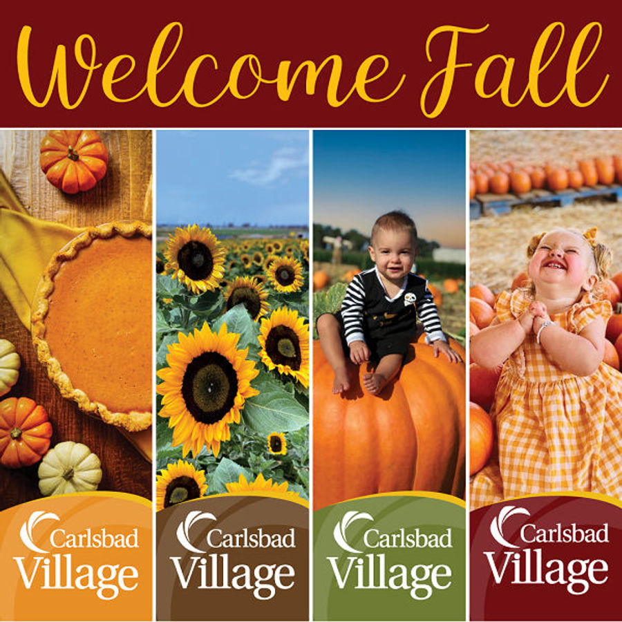 Fall Banners Are Going Up Throughout Carlsbad