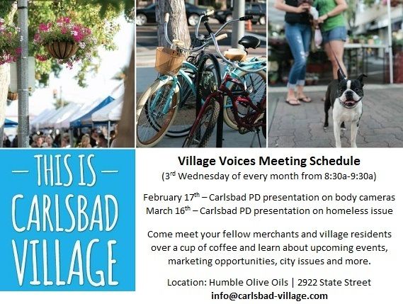 Village Voices Feb Meeting