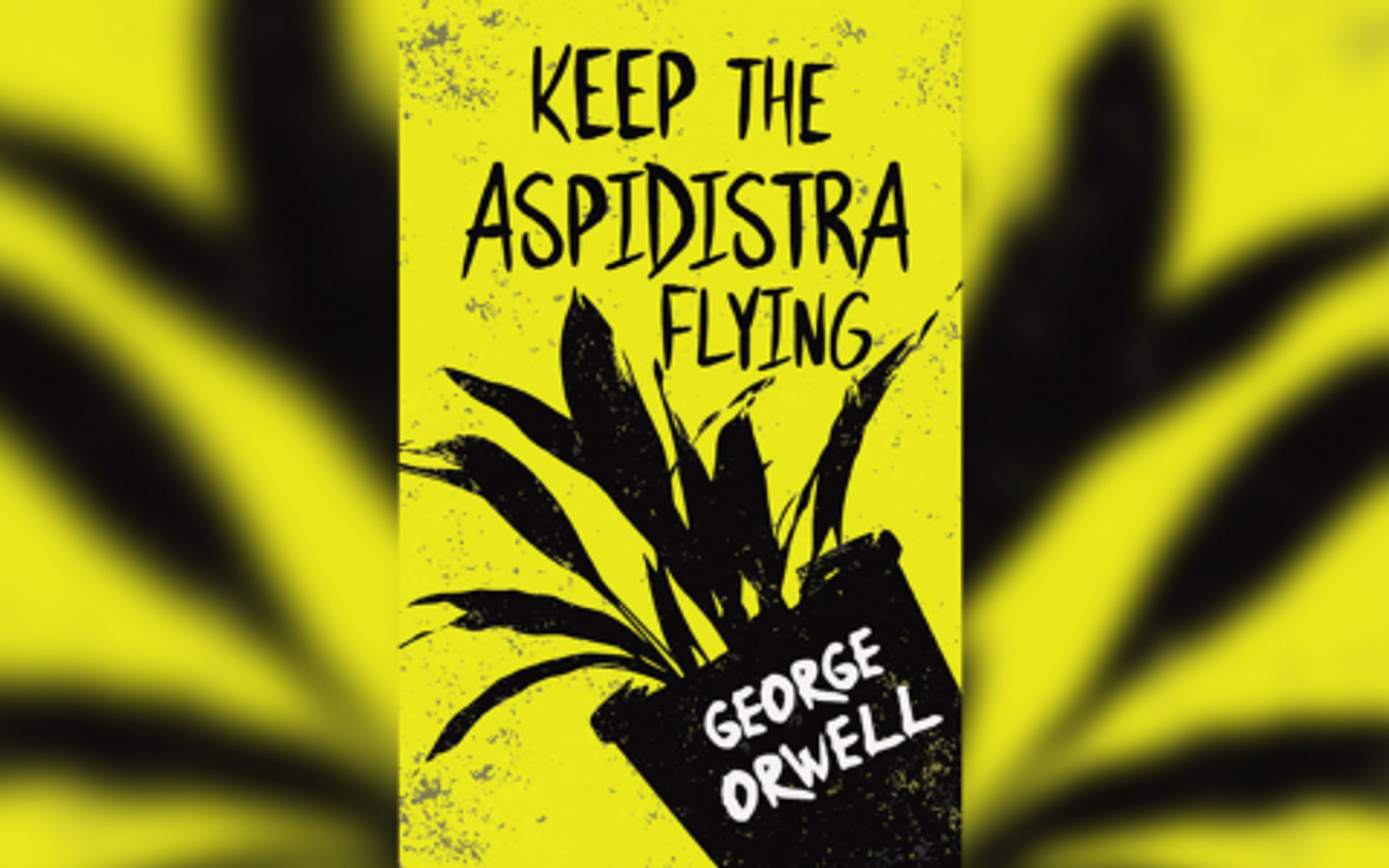 Keep the Aspidistra Flying | Downtown San Francisco