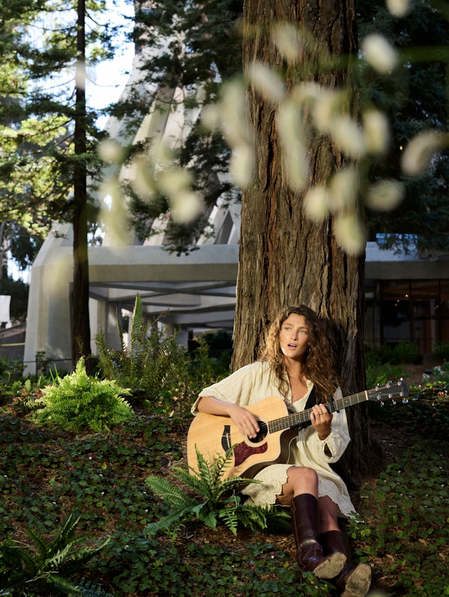 Pyramid Grove Concert Series | Downtown San Francisco