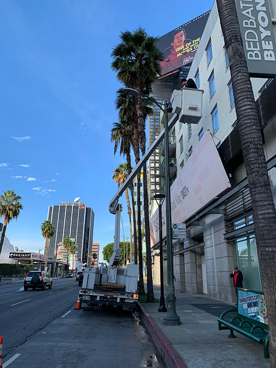 Crews installing palm tree up-lights on Sunset Boulevard in Hollywood, CA