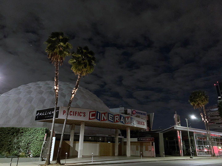 Palm trees, with new lights, by the Cinerama Dome in Hollywood, CA