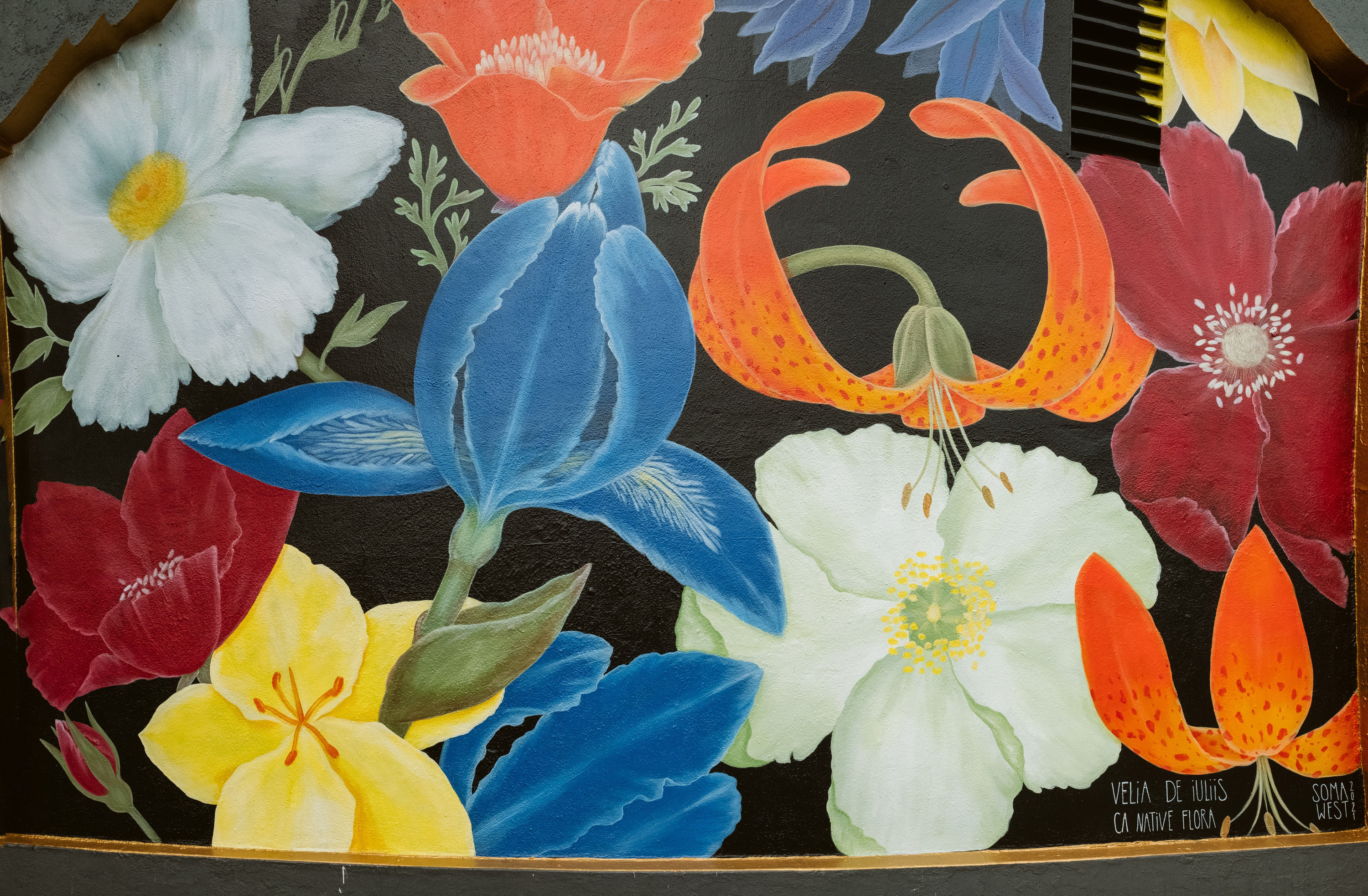 Mural depicting California Native Flowers against a black background