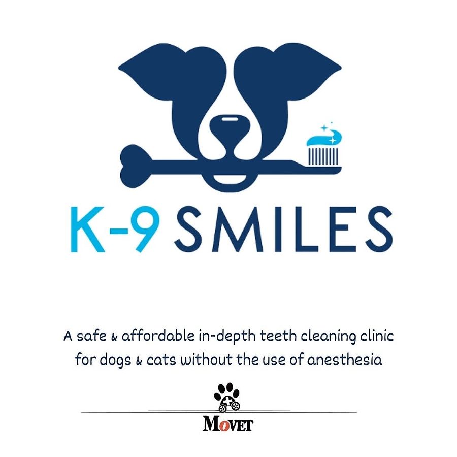 MoVet Dental Clinic with K-9 Smiles!