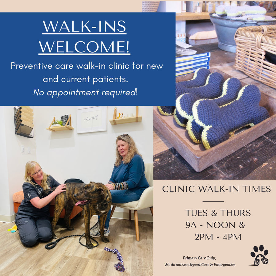 MoVet Veterinary Clinic Walk-In Day (No Appointment Needed)