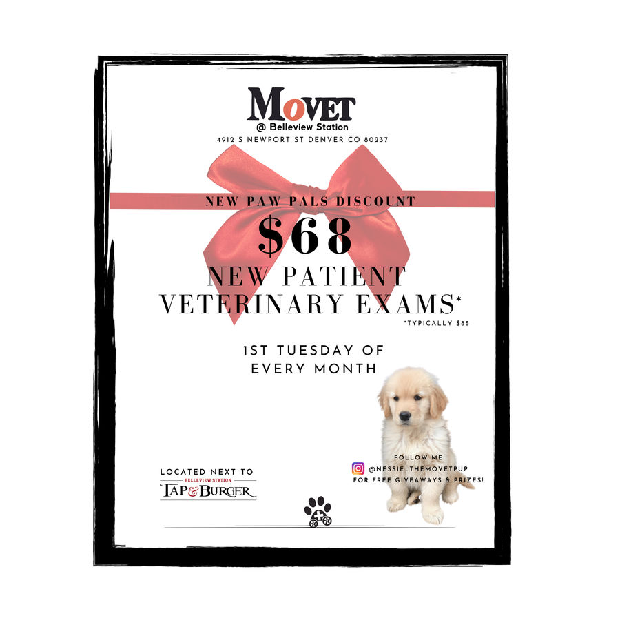 MoVet Veterinary Clinic "New Paw Pals" Discount Day