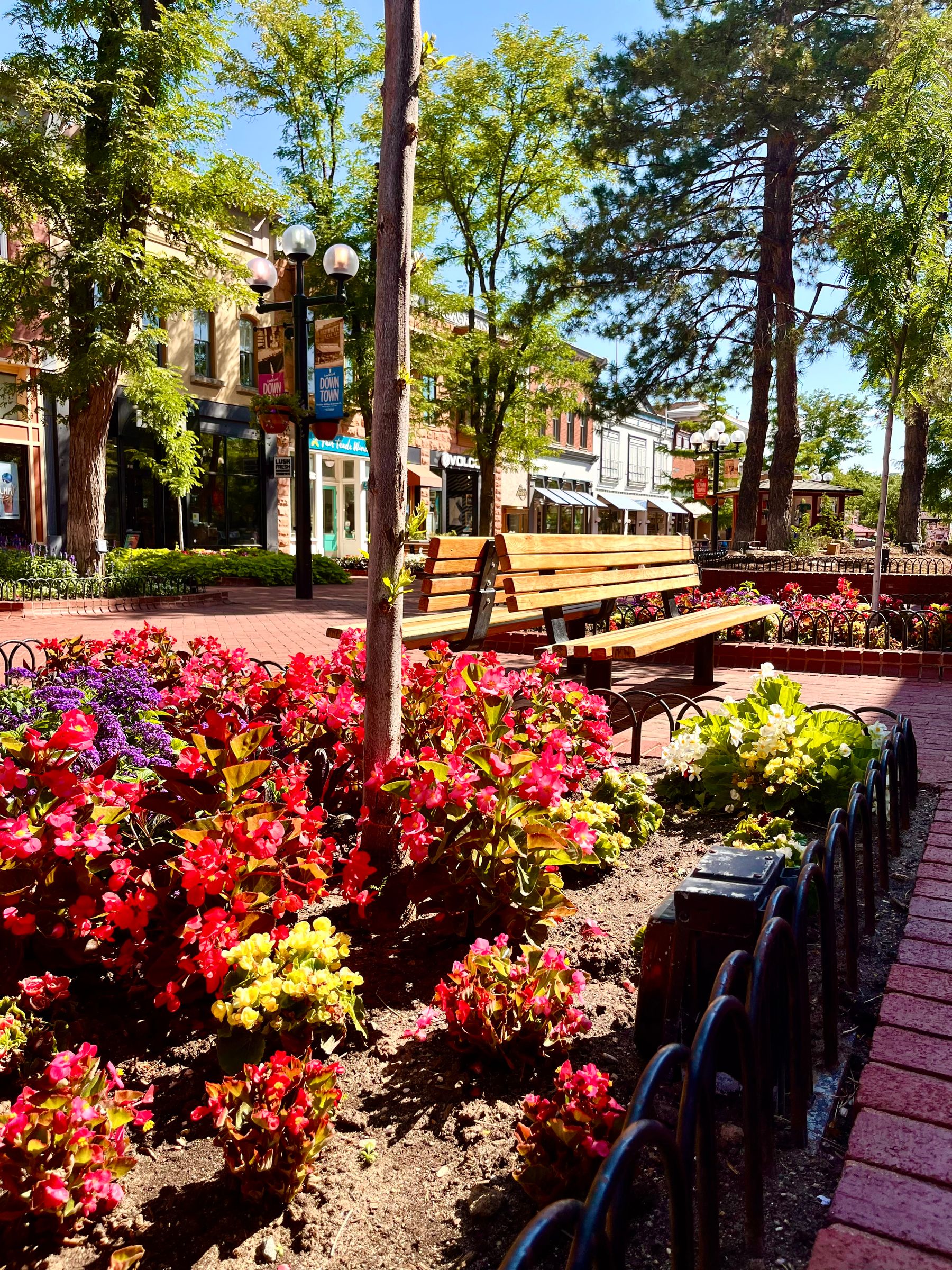 flowers and bench on pearl street