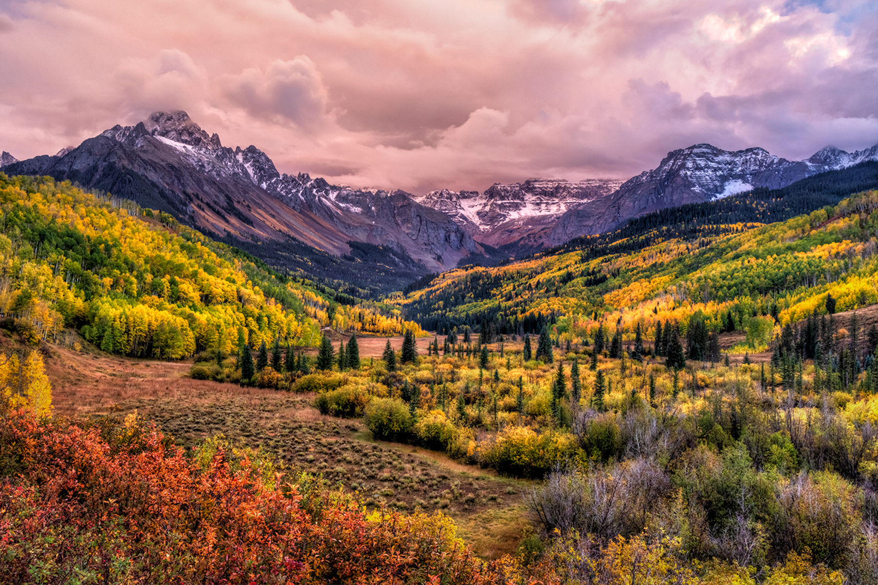 "Meet the Artists" Reception - Aspens in the Fall