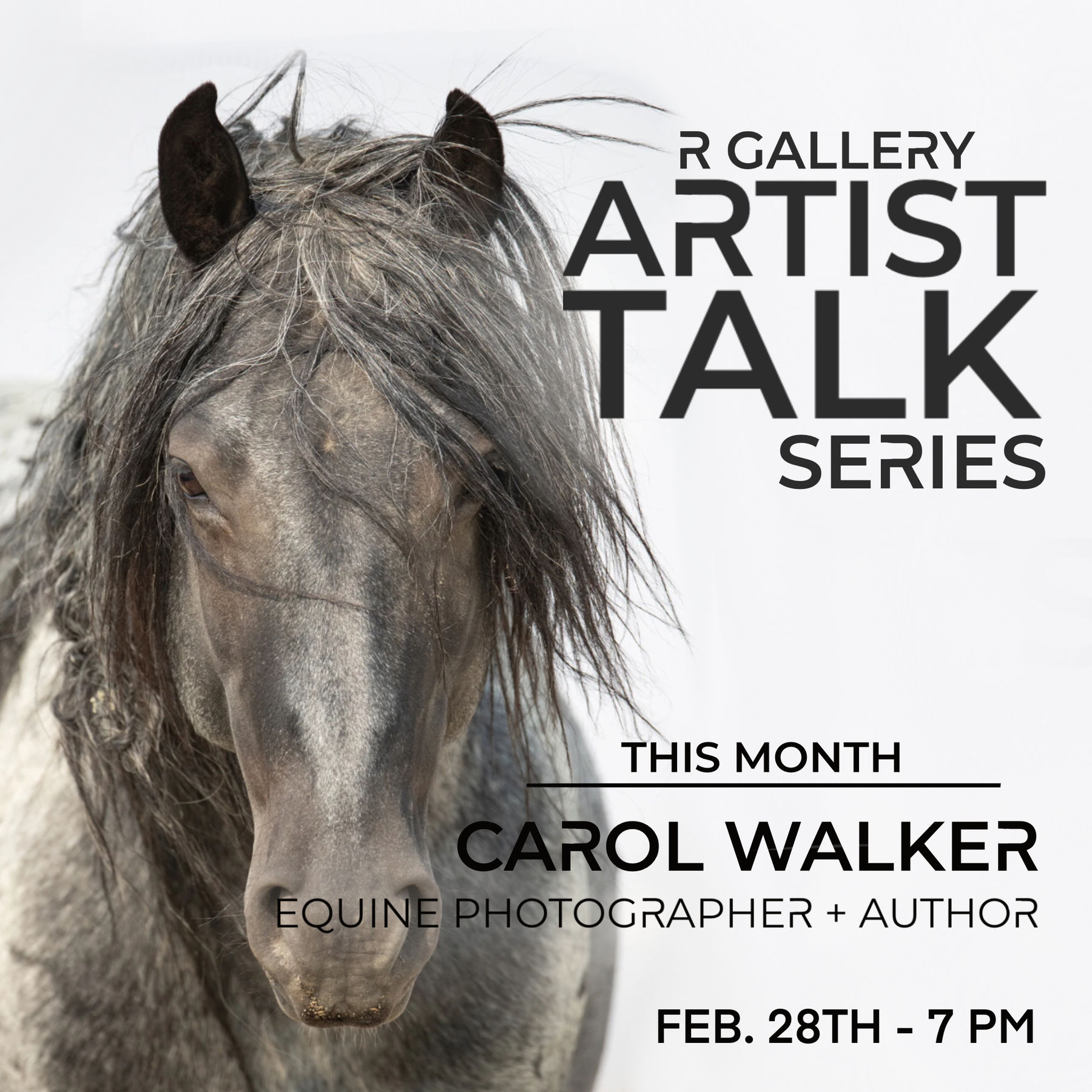 Artist Talk: Carol Walker