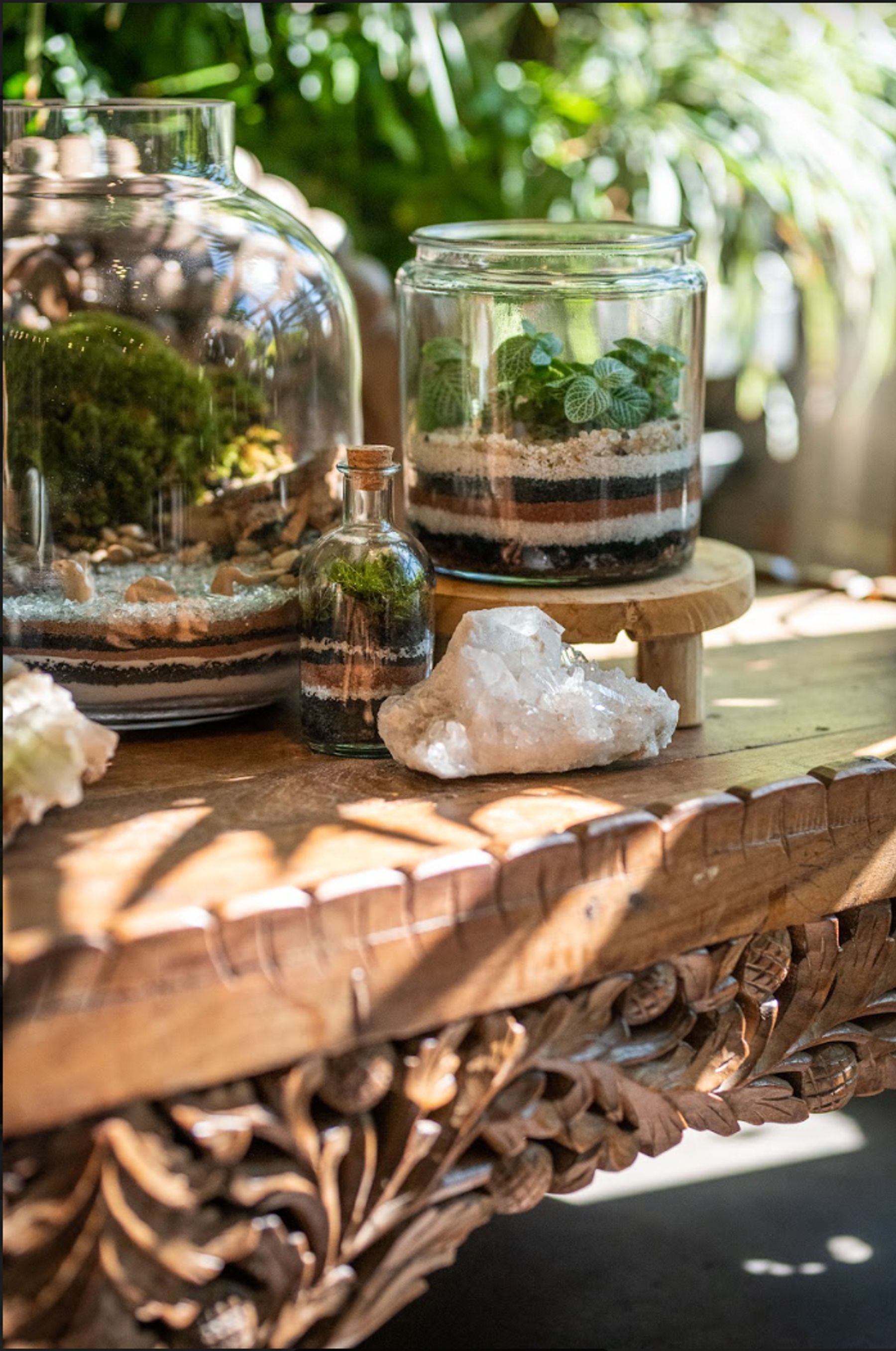 BUILD YOUR OWN TERRARIUM