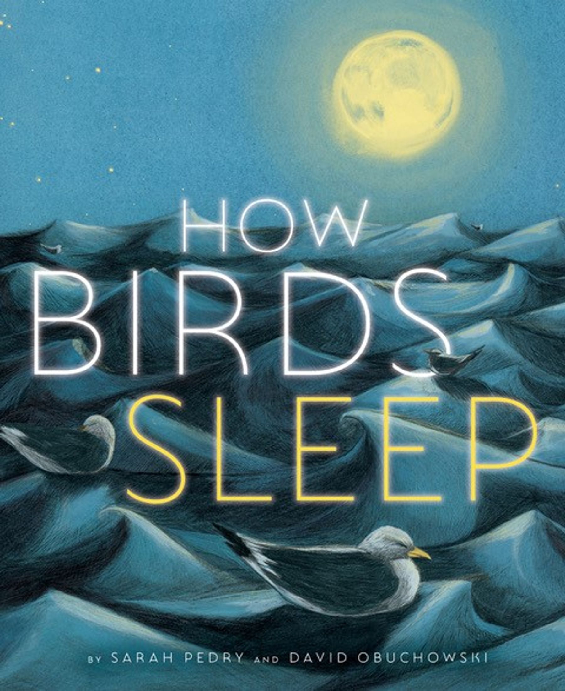 Sarah Pedry and David Obuchowski -- "How Birds Sleep"