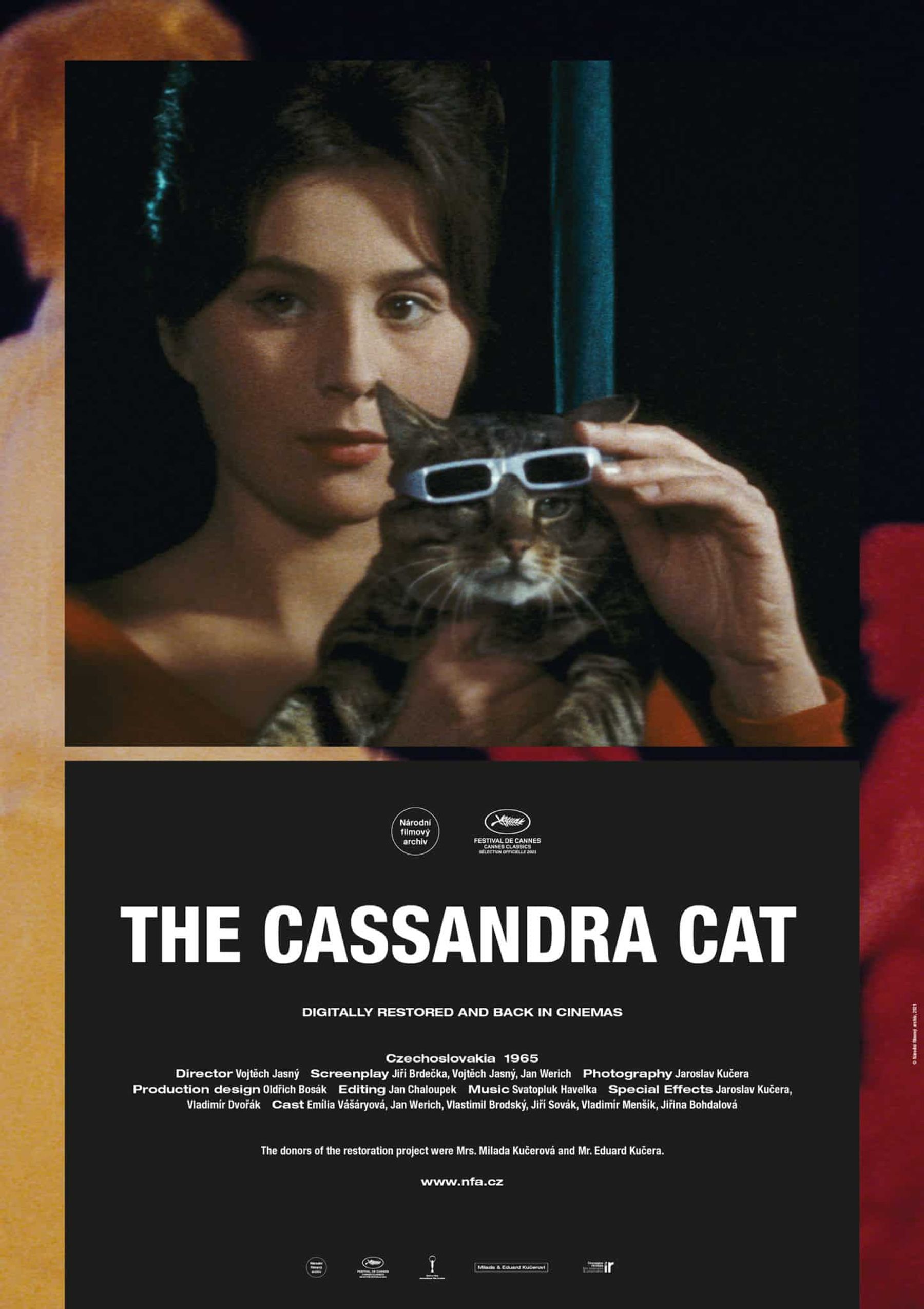 Friday Night Weird Presents: The Cassandra Cat