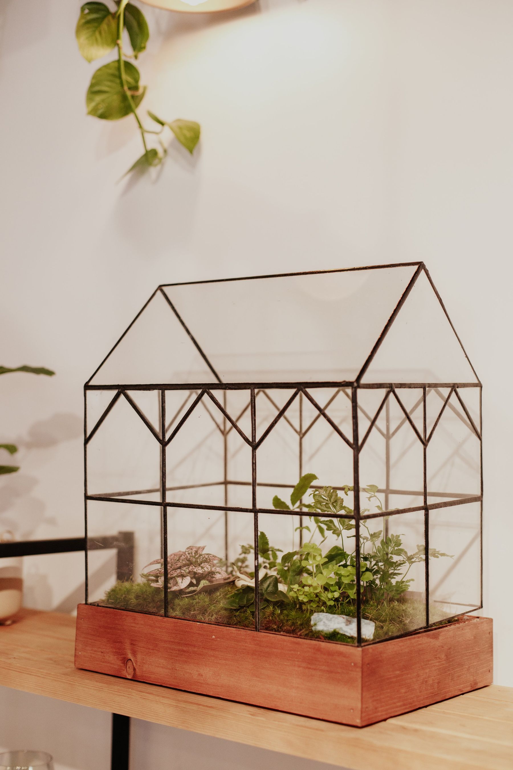 Build Your Own Terrarium Workshop