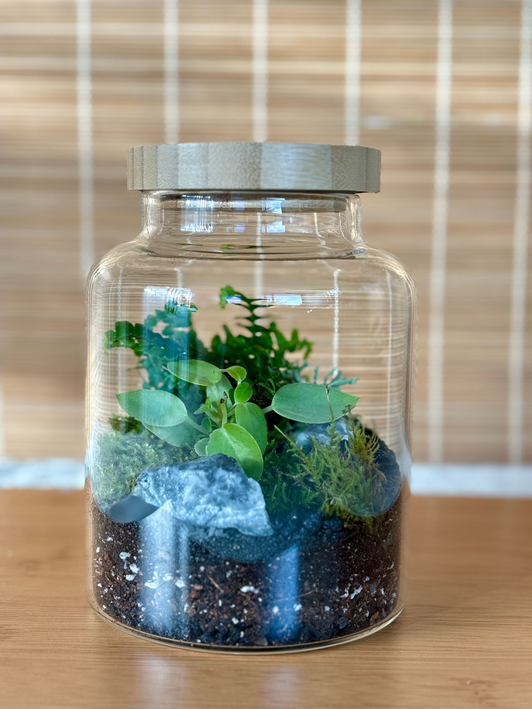 Terrarium Workshop