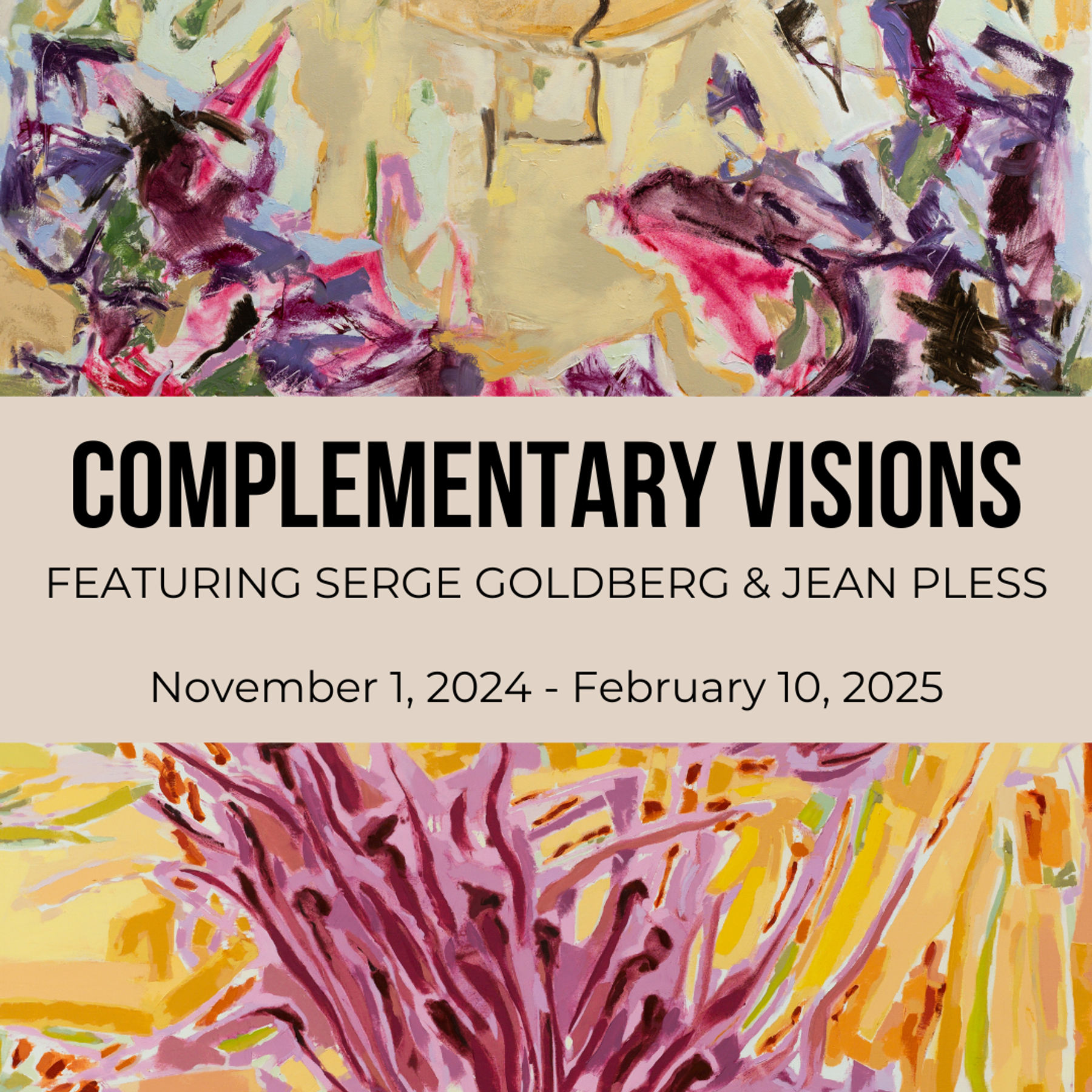 Complementary Visions Exhibit Opening Reception