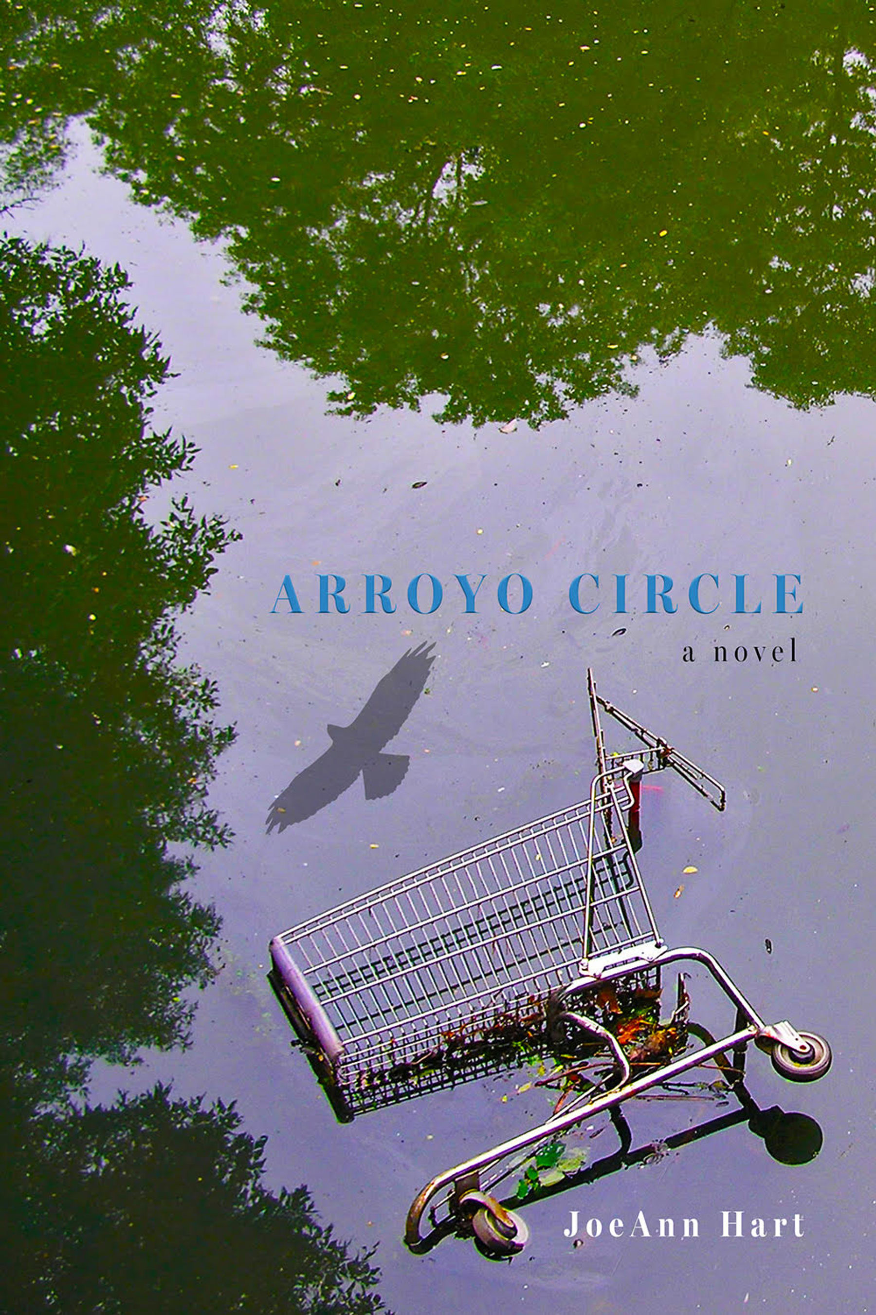 JoeAnn Hart -- "Arroyo Circle"