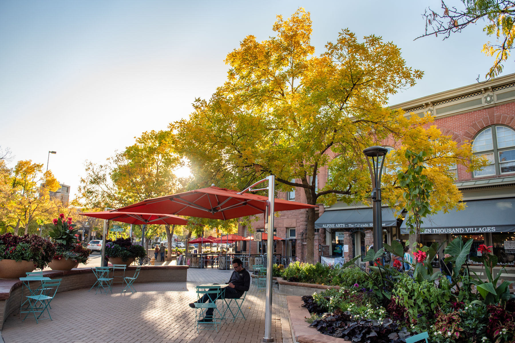 fall in Old Town Square with golden trees and clear skies