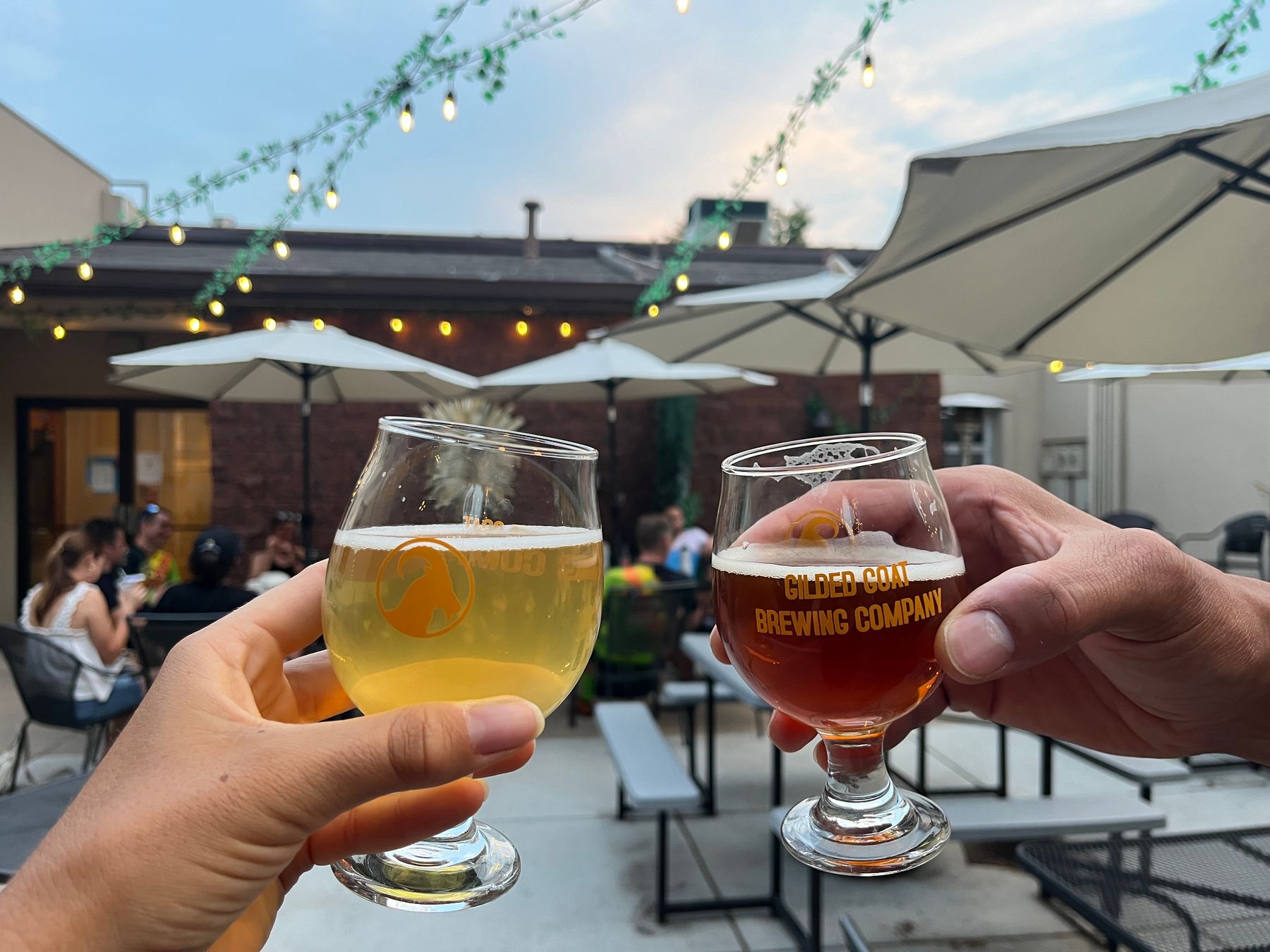 Two beers cheers on patio with tivoli lights at Gilded Goat