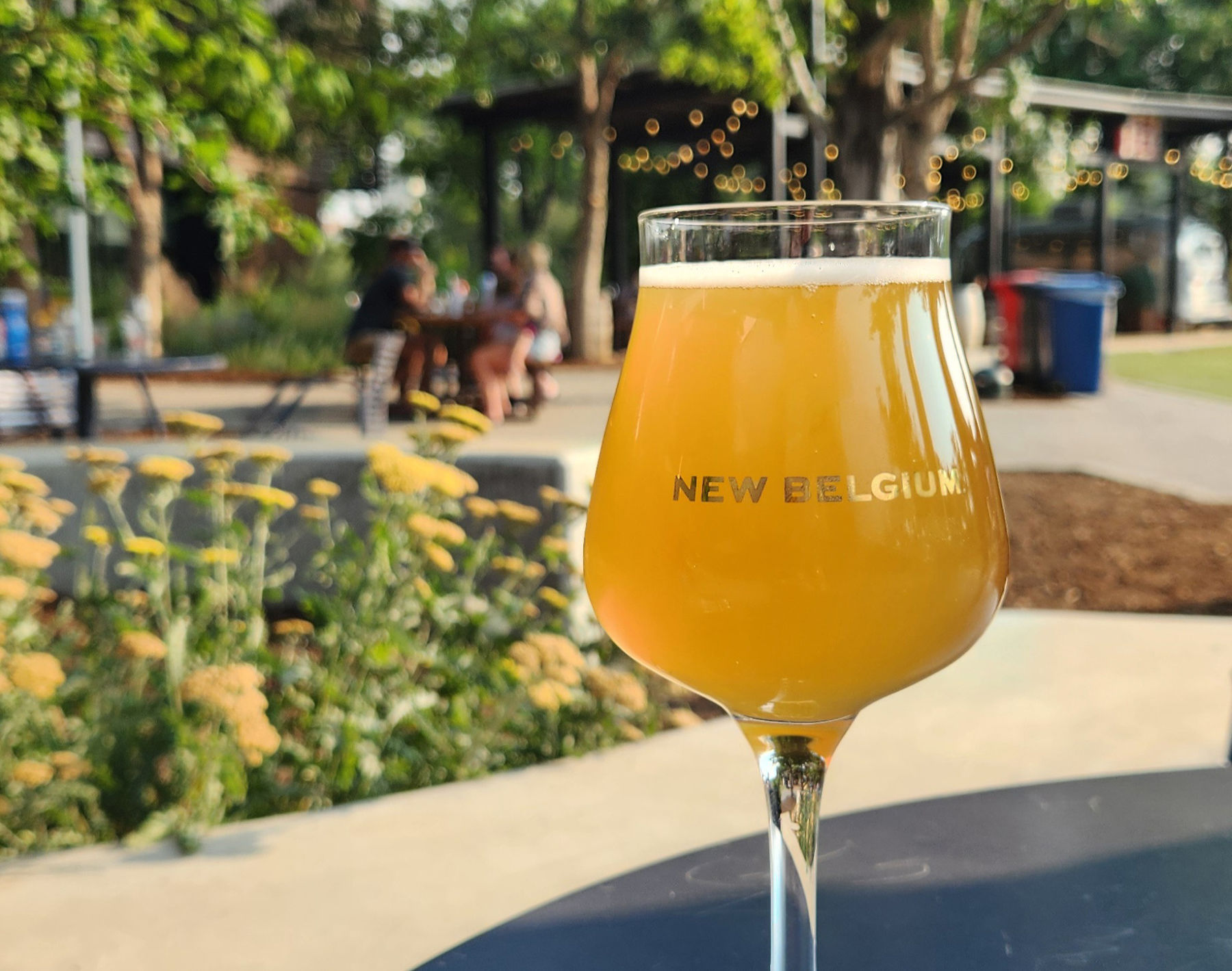 Glass of beer on patio at New Belgium Brewing