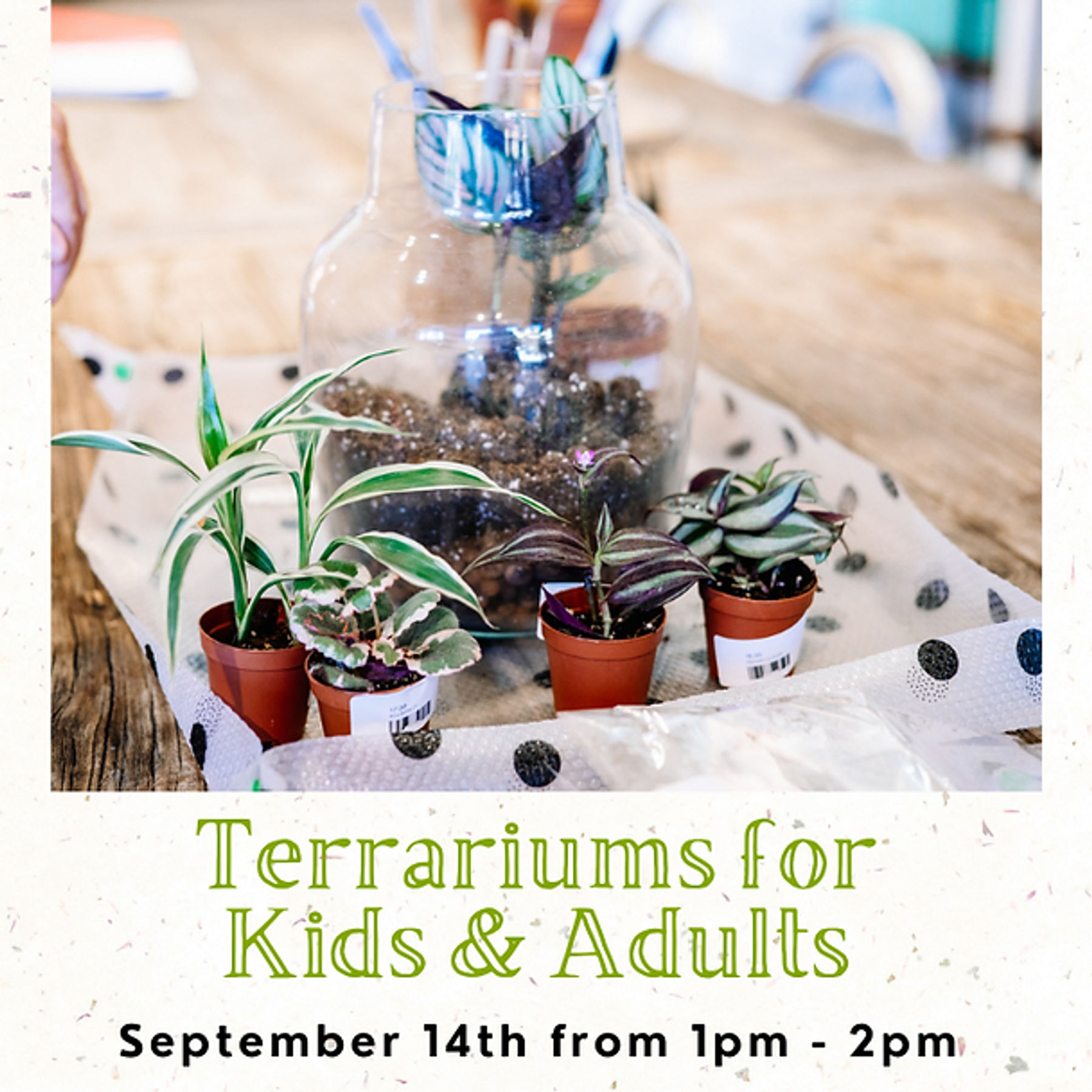 ARTS WEEK - Terrarium Workshop for Kids & Adults