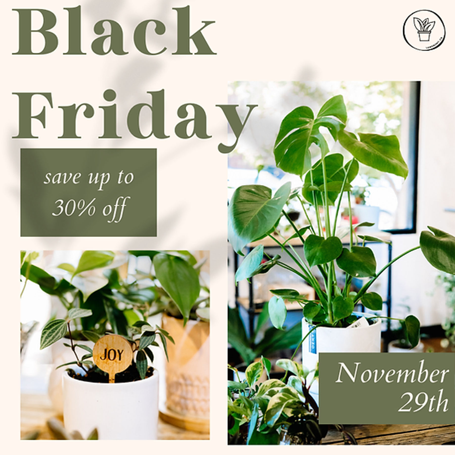 Black Friday Specials at Happy Day Plants