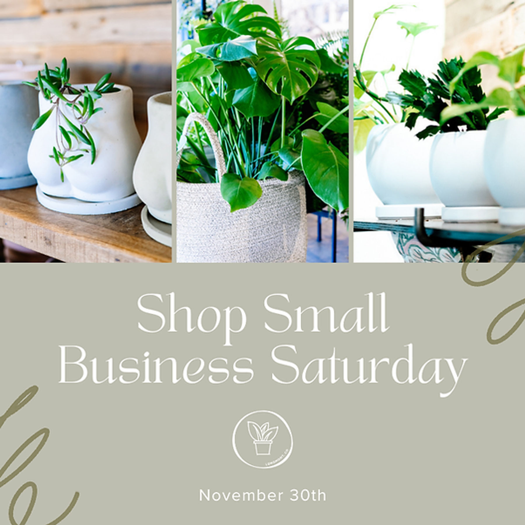 Small Business Saturday at Happy Day Plants