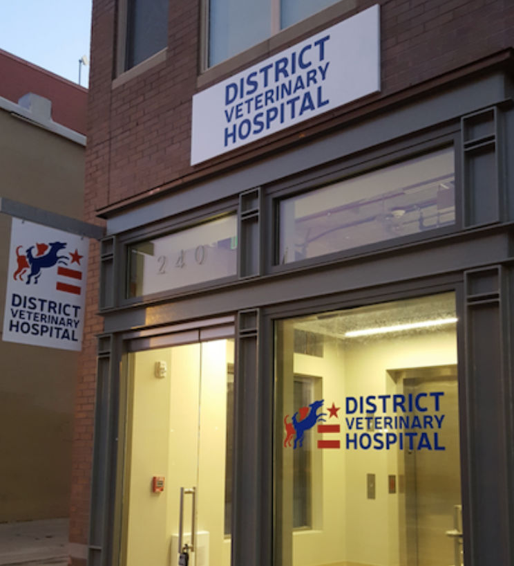 District Veterinary Hospital