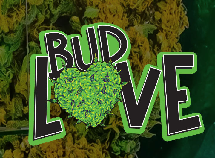 Bud Love