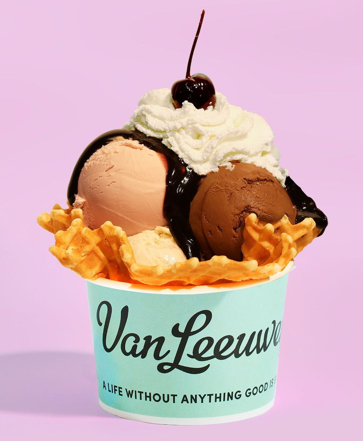 Van Leeuwen Ice Cream