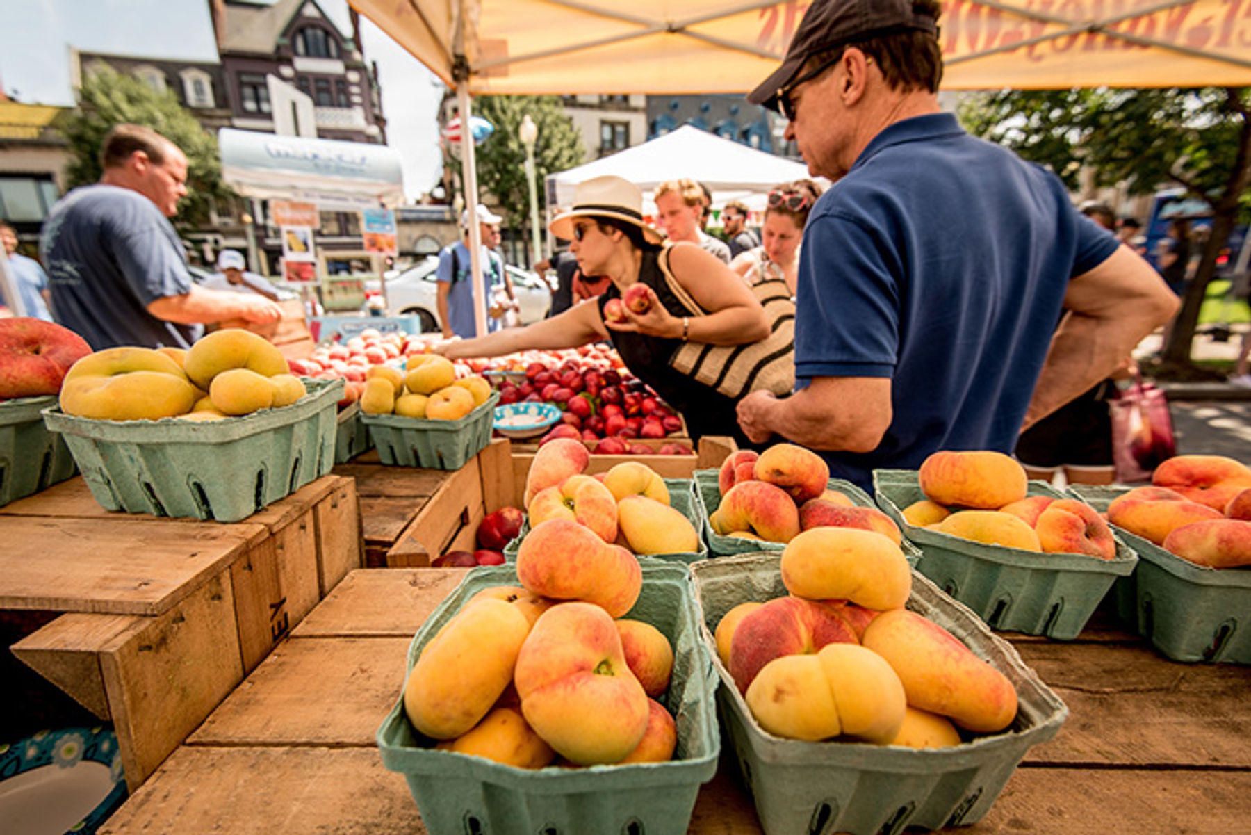Best Farmers Markets for Fresh Produce in DC