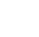 International Downtown Association