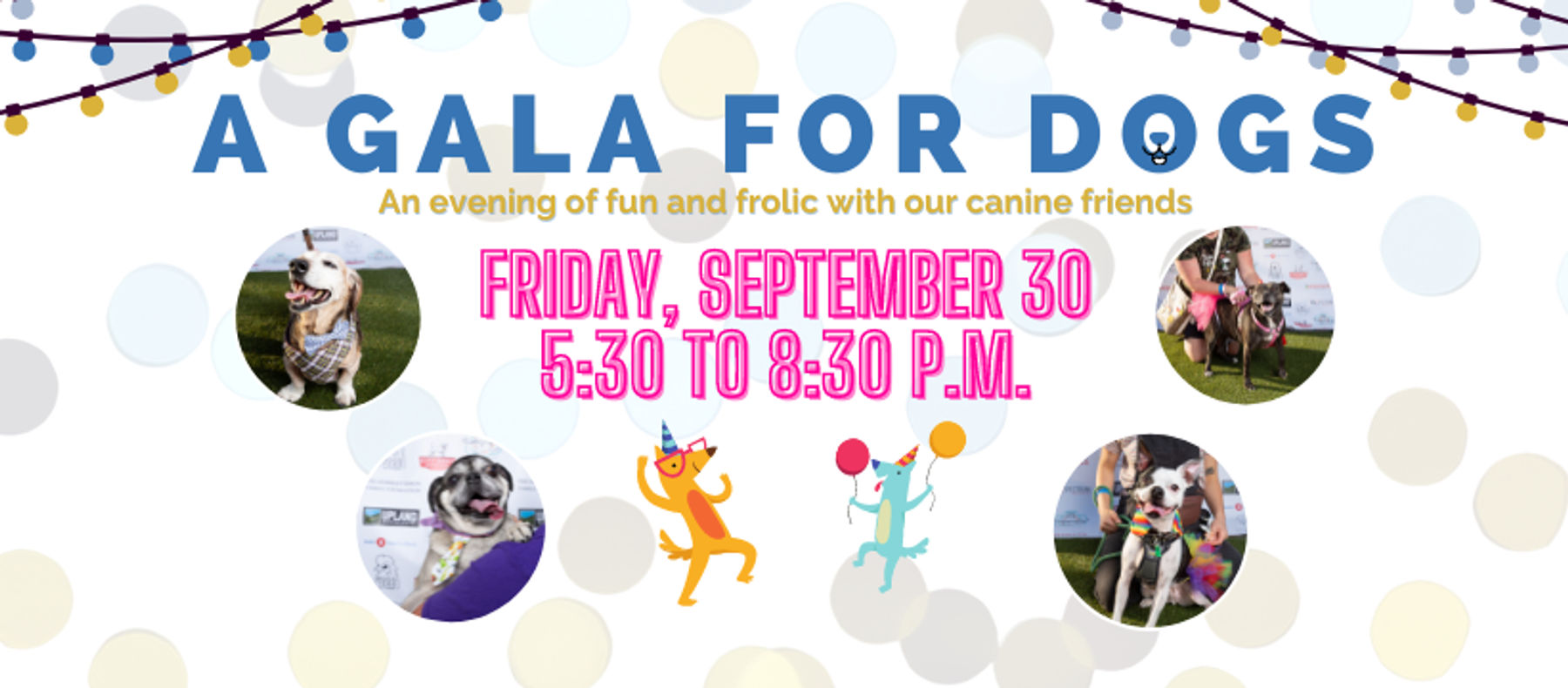 A Gala for Dogs 2022 - FACE Low-Cost Animal Clinic | Downtown Indianapolis