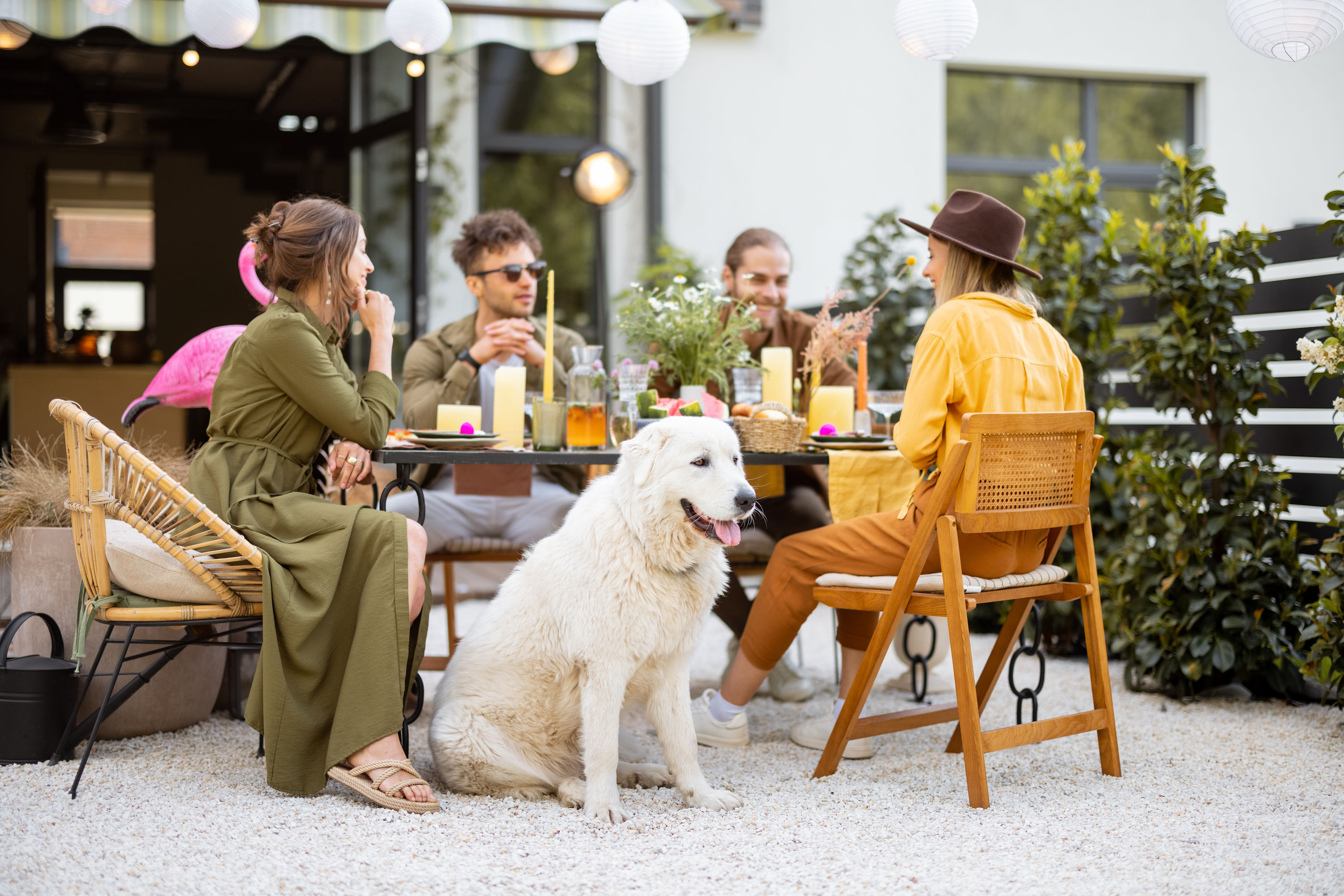 5 Dog-Friendly Patios in the Pike District