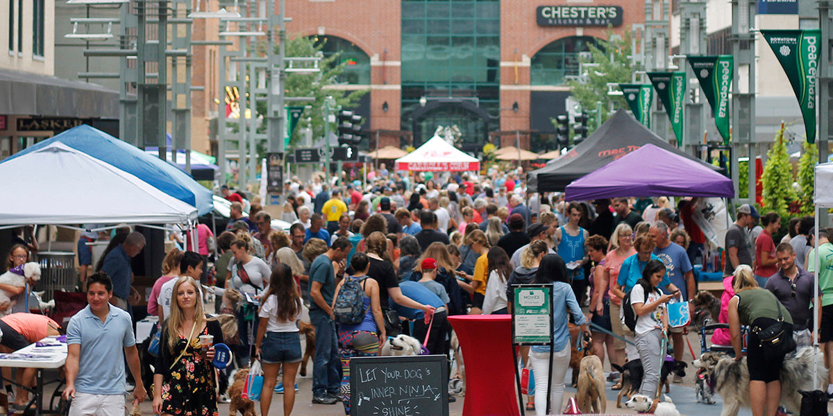 Don’t Miss Out! A Year of Downtown Rochester Events | Downtown ...