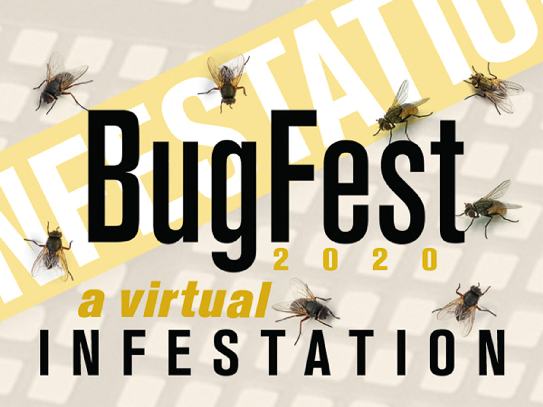 BugFest a Virtual Infestation Downtown Raleigh, NC