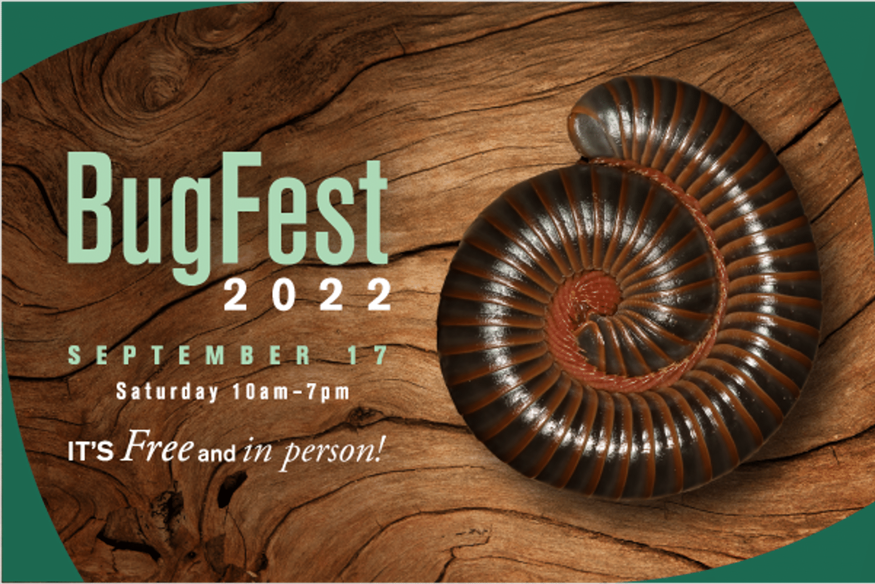 Bug Fest 2024 Raleigh Nc 2024 Arly Britteny