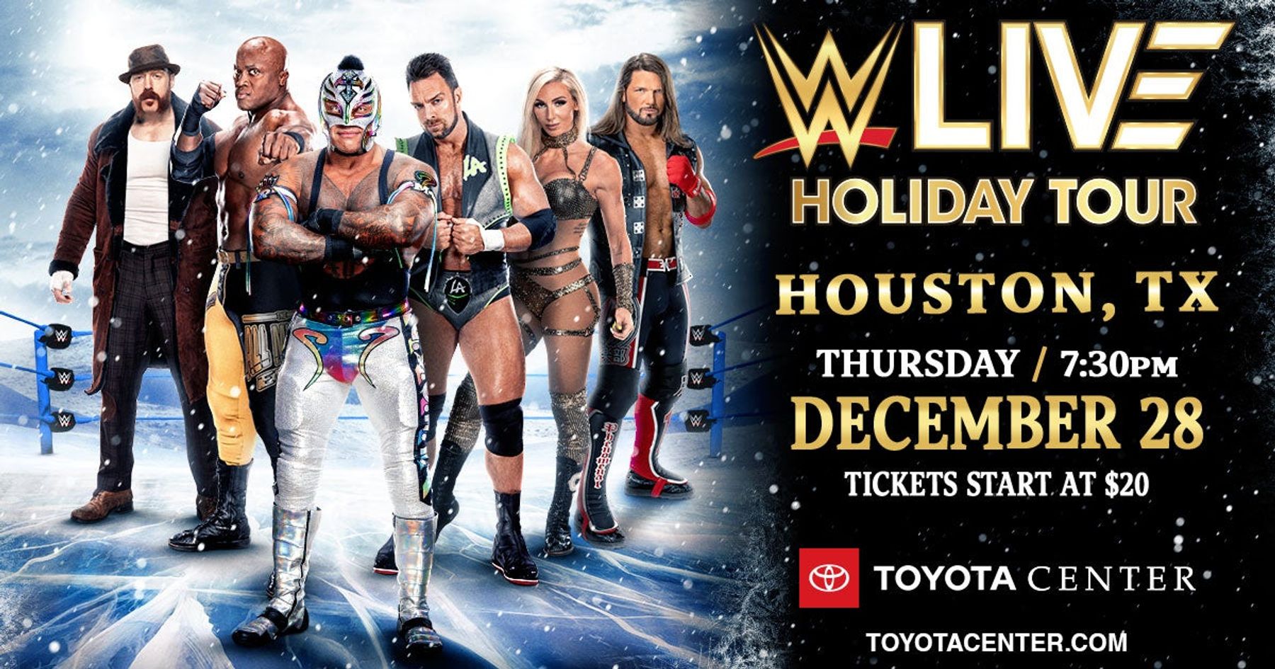 WWE Live HolidayTour Downtown Houston