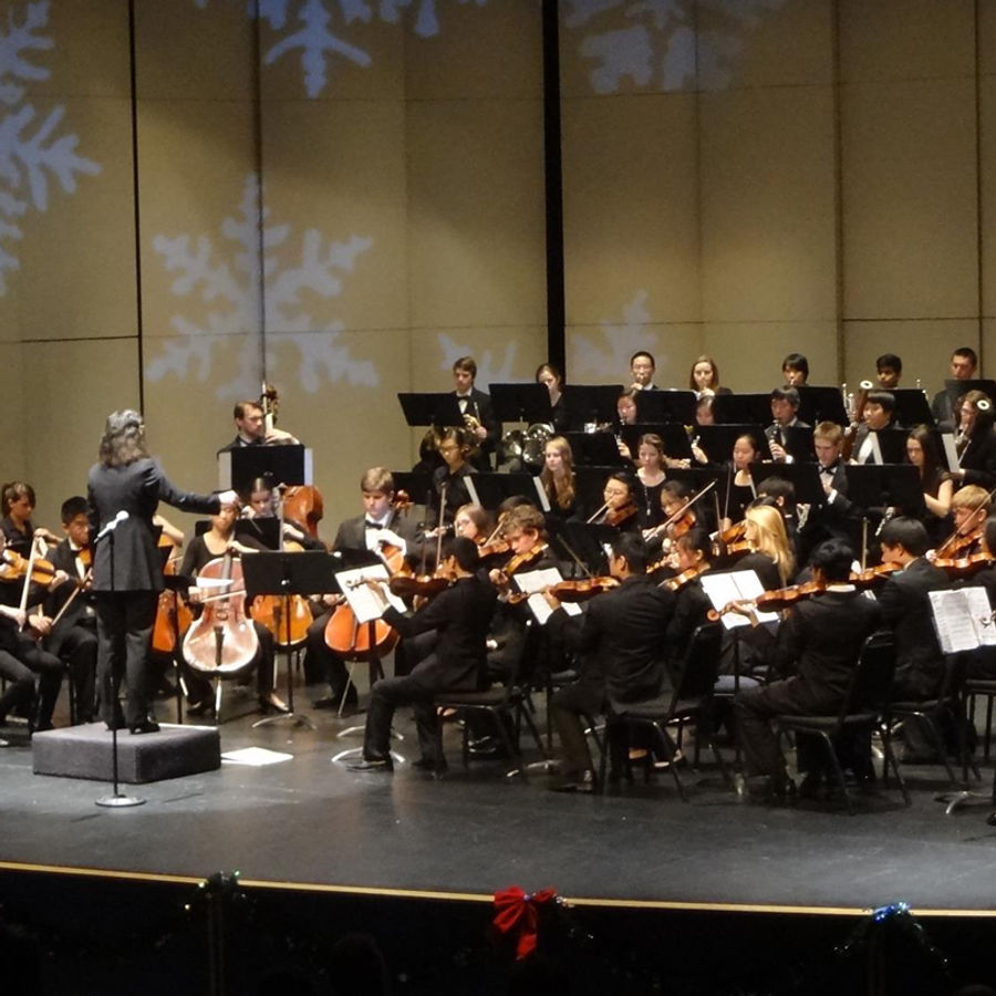 Bellevue Youth Symphony Orchestra Member