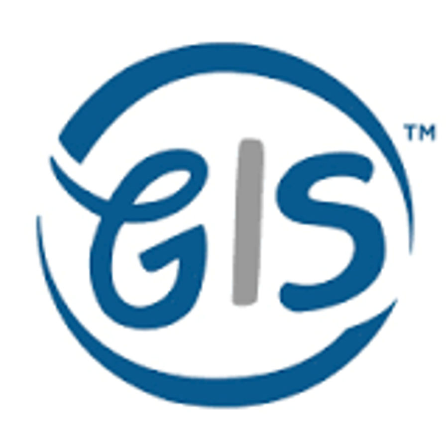 GIS Companies