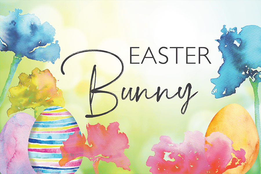 Meet the Easter Bunny at The Bellevue Collection